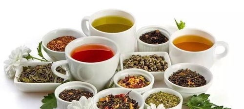 药茶一种新型养生饮品,美女们都说好喝,茶友更称赞 茶中之王