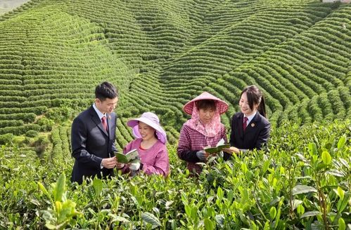 信阳市浉河区检察院 检察官茶园普法 检护民生 解烦忧