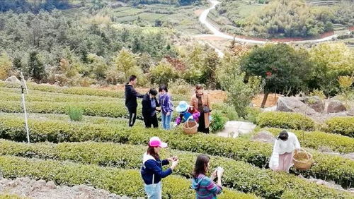 东张古镇这些文旅网红打卡点,解锁 五一 出游新玩法