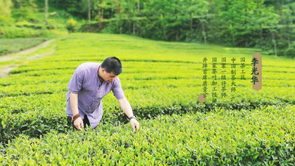 认真做好茶--井牌茶叶李光华40年茶味人生