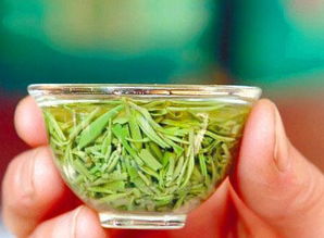 茶痴12条,你占几条
