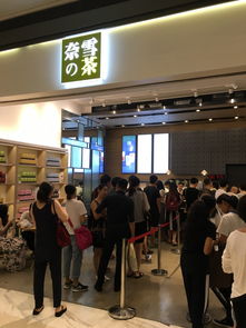 短租日记 周边好玩系列 欢乐海岸 小猪