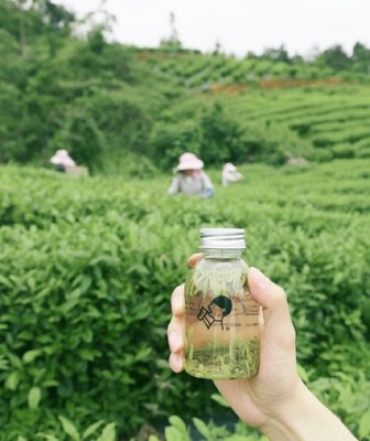 喜茶发布品质真奶标准，以沉淀经验推动新茶饮供应链品质升级