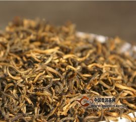 干货｜详解红茶的那些事儿 从树木种植到经营策略